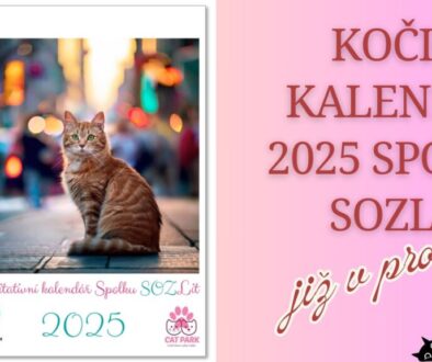 Kalendář 2025