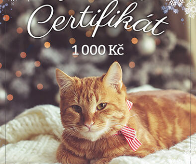 vanocni-certifikat-1000-s